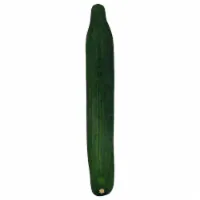 English Cucumber