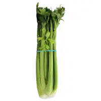 Sleeved Celery