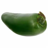 Fresh Jalapeno Peppers